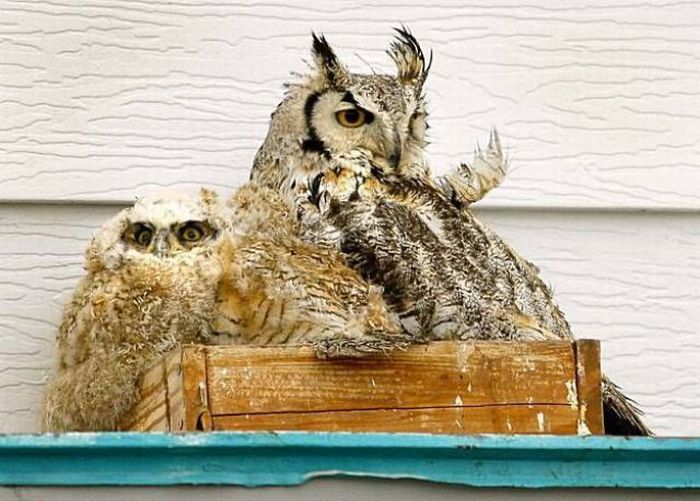 Acid Picdump (166 pics)