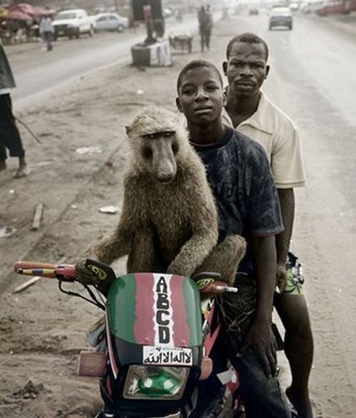 Acid Picdump (166 pics)