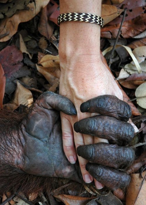 Acid Picdump (166 pics)