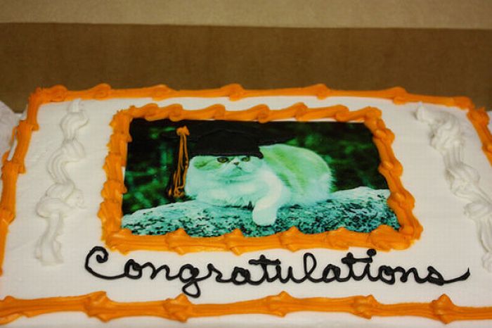 Hilarious Graduation Cakes (54 pics)