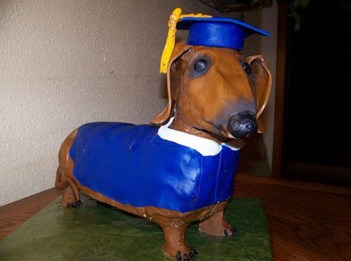 Hilarious Graduation Cakes (54 pics)