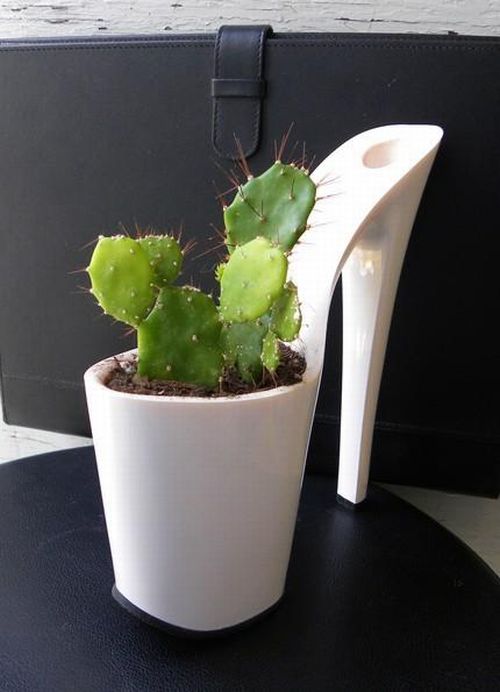 Planting Flowers in Women Shoes (12 pics)