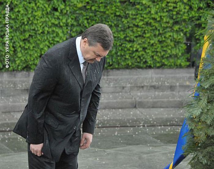 Wreath Laying Ceremony Gone Wrong (8 pics + video)