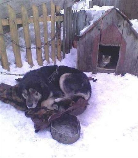 Acid Picdump (128 pics)