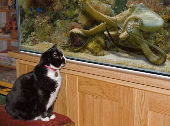 Acid Picdump (128 pics)