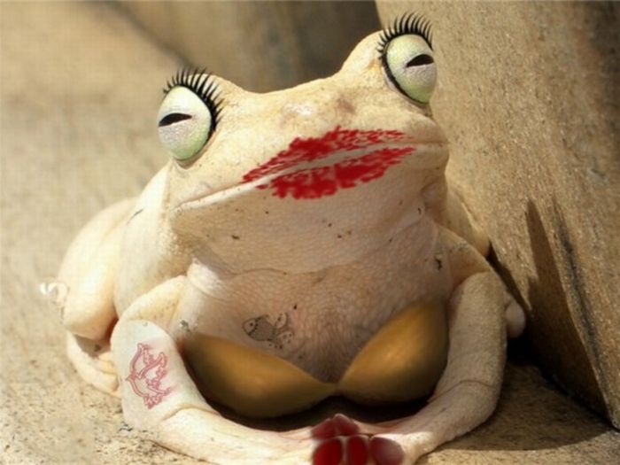 Acid Picdump (128 pics)