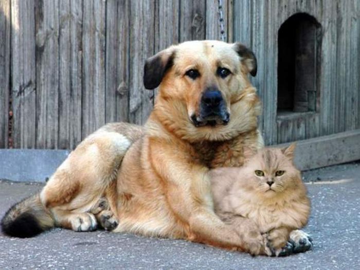 Acid Picdump (128 pics)