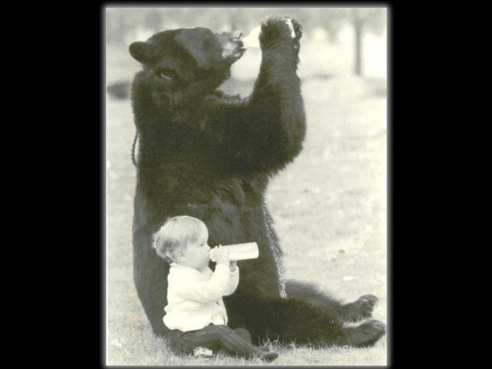 Acid Picdump (128 pics)