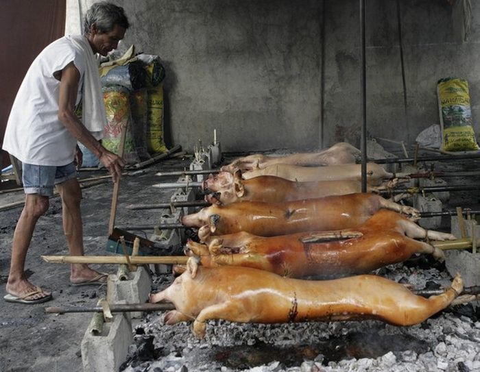 The Parade of the Lechon (18 pics)