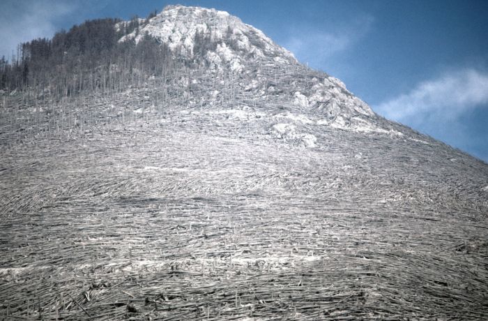 Mount St. Helens, 1980 (35 pics)