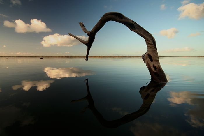 Photos That Look Like They Are Photoshopped (30 pics)