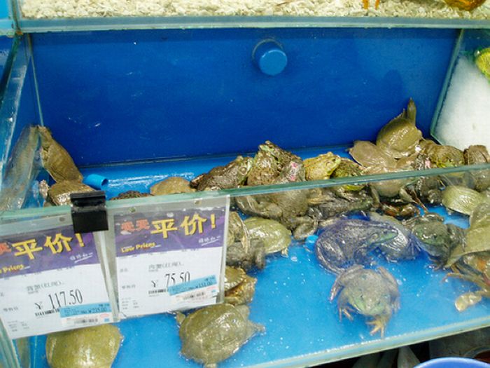 The Items They Only Sell At Chinese Walmarts (16 pics) The Items They Only Sell At Chinese Walmarts (16 pics)