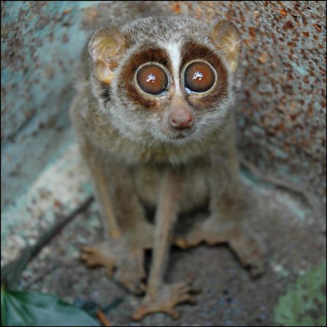 Acid Picdump (140 pics)