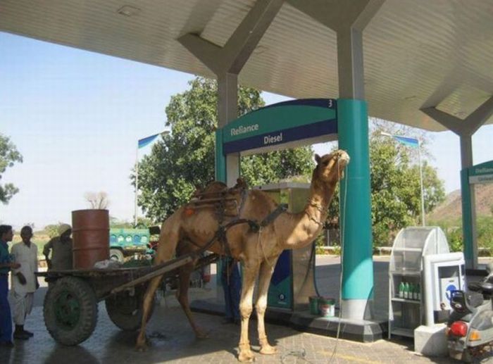Acid Picdump (140 pics)