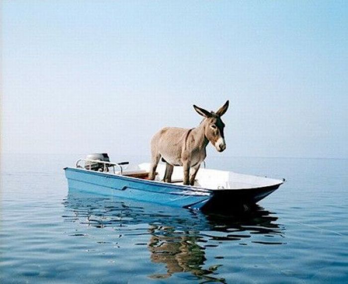 Acid Picdump (140 pics)