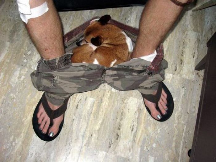 Acid Picdump (140 pics)