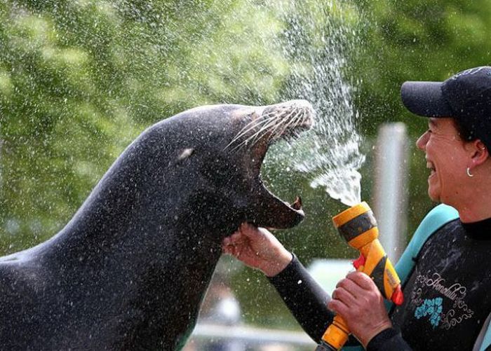 Acid Picdump (140 pics)