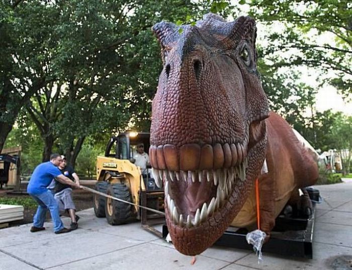 Acid Picdump (140 pics)