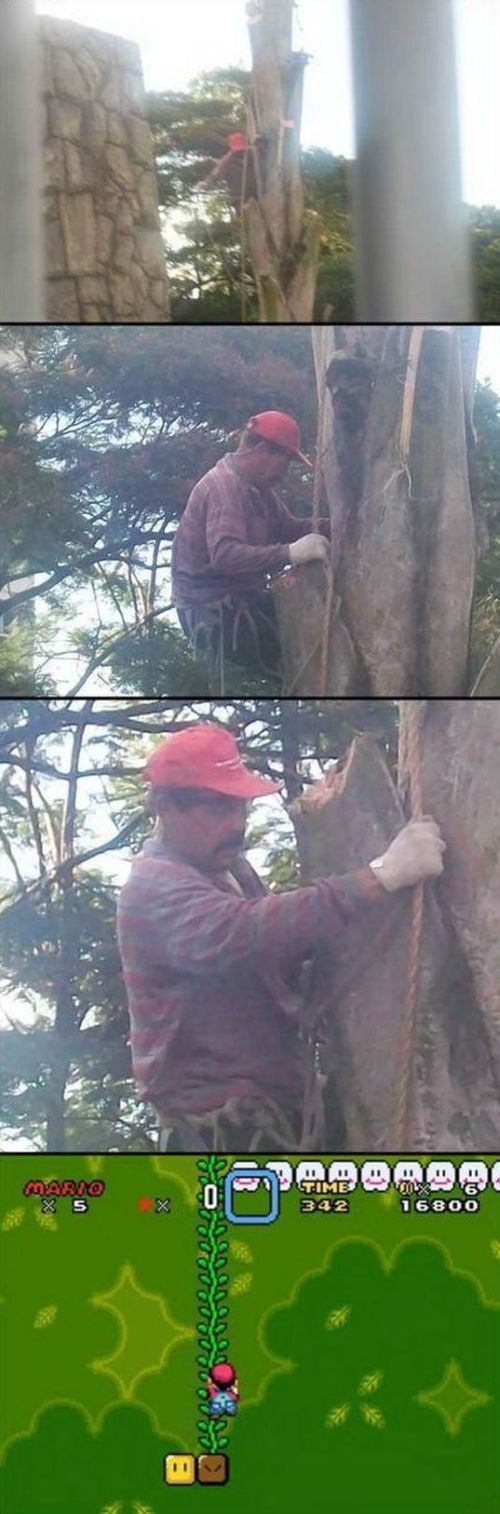 Acid Picdump (140 pics)