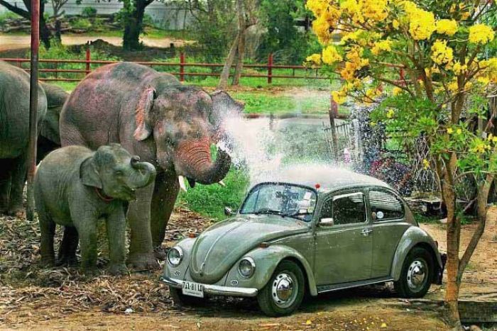 Acid Picdump (140 pics)
