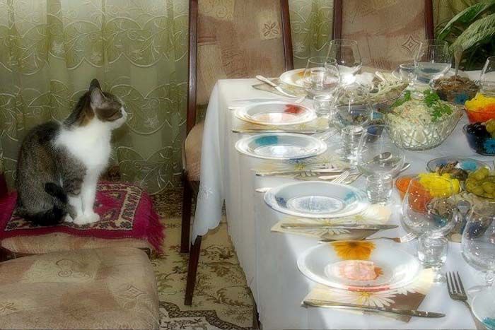 Acid Picdump (140 pics)