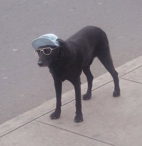 Acid Picdump (140 pics)