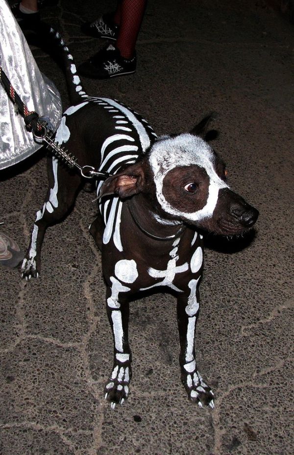 Acid Picdump (140 pics)
