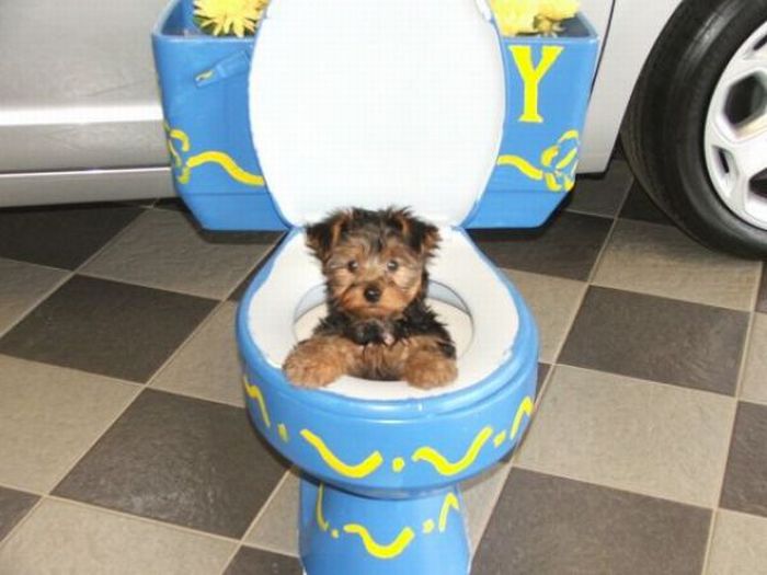 Acid Picdump (140 pics)