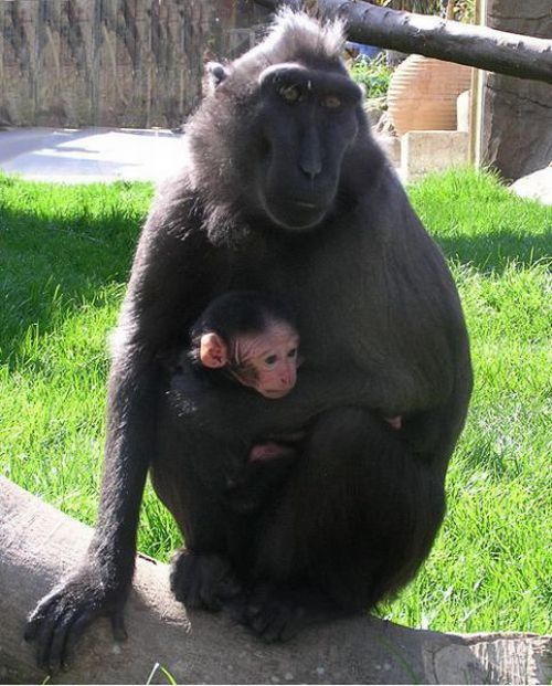 Acid Picdump (140 pics)