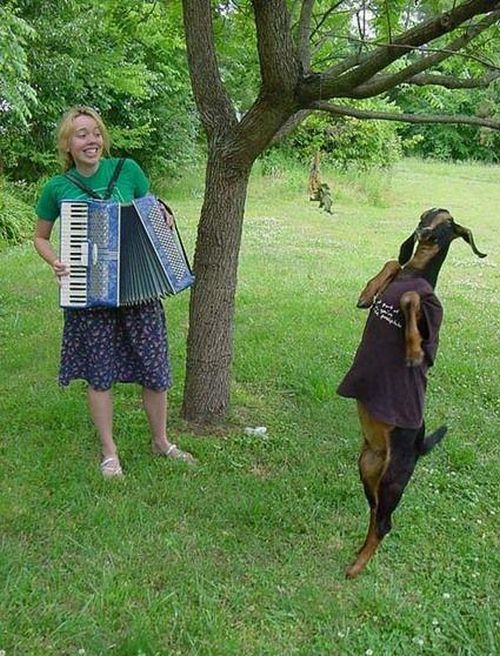 Acid Picdump (140 pics)
