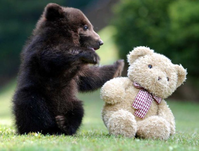 Acid Picdump (140 pics)