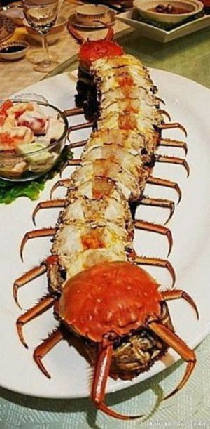 Acid Picdump (140 pics)