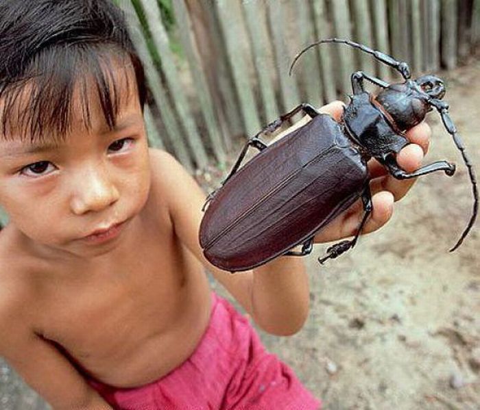 Acid Picdump (140 pics)