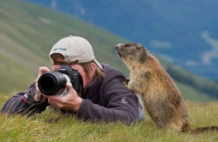 Acid Picdump (140 pics)
