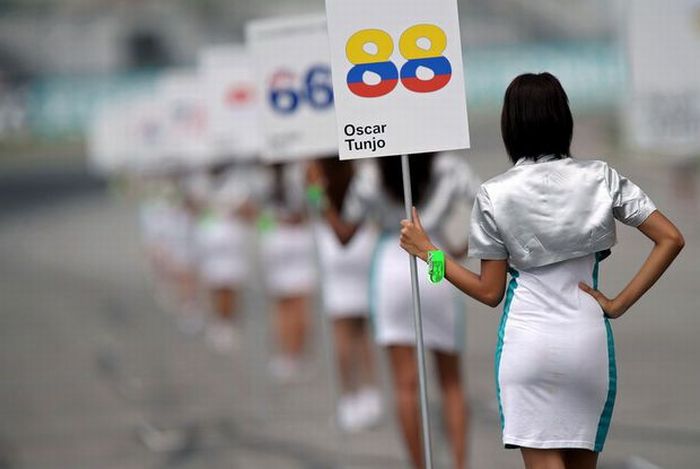 Beautiful Pit Girls of Formula One (59 pics)