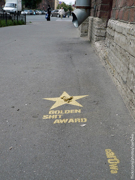 Golden Shit Award (8 pics)