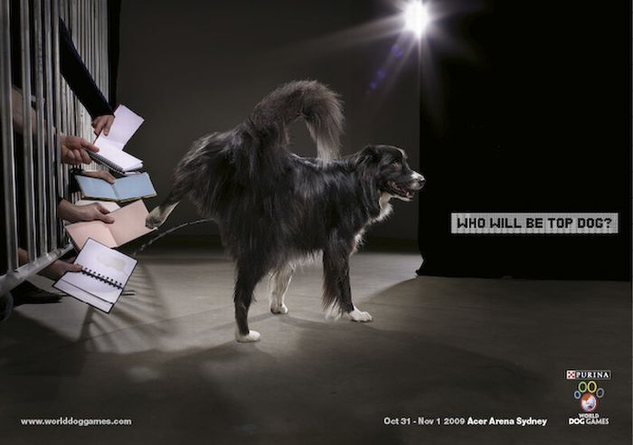 The Best Ads with Dogs (33 pics)