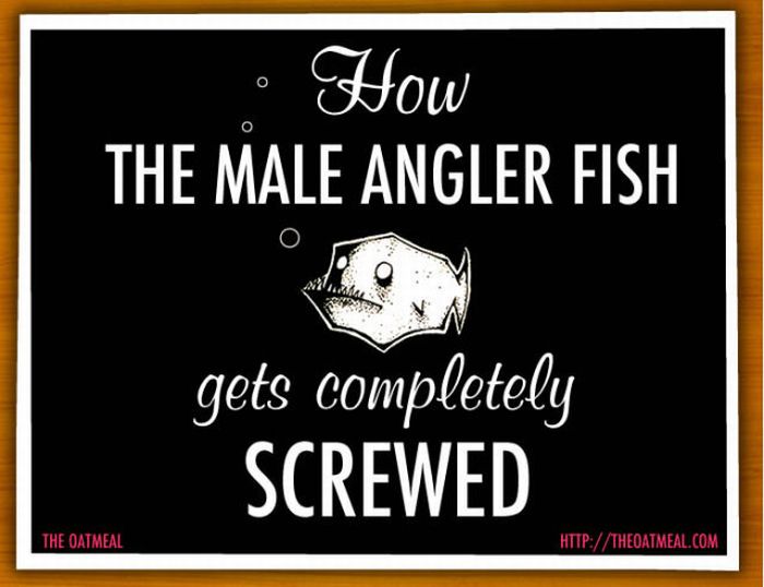 Interesting Facts About Anglerfish (6 pics)