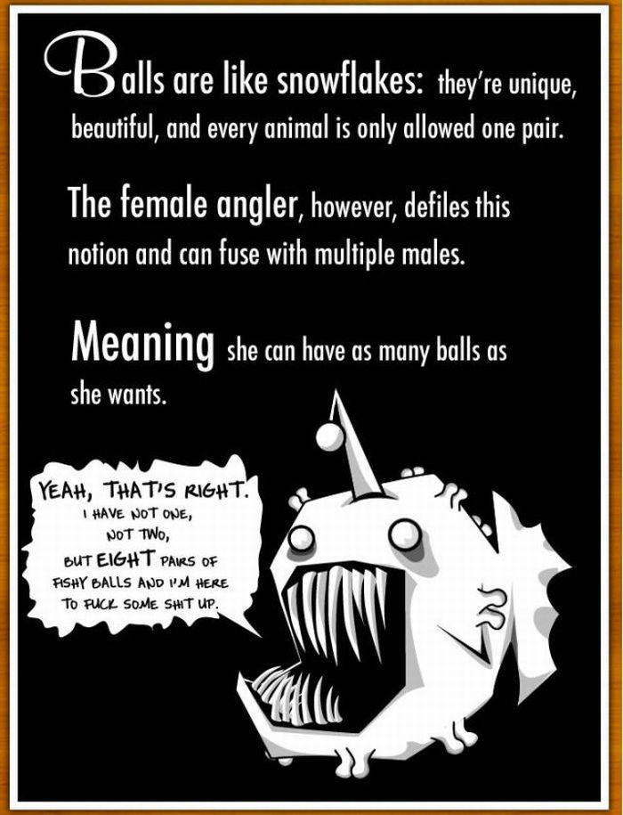 Interesting Facts About Anglerfish (6 pics)