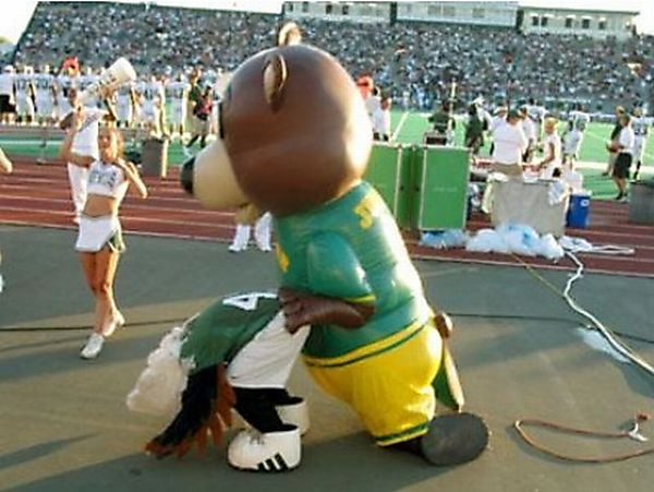 Sports Mascots Caught Behaving Badly (19 pics)