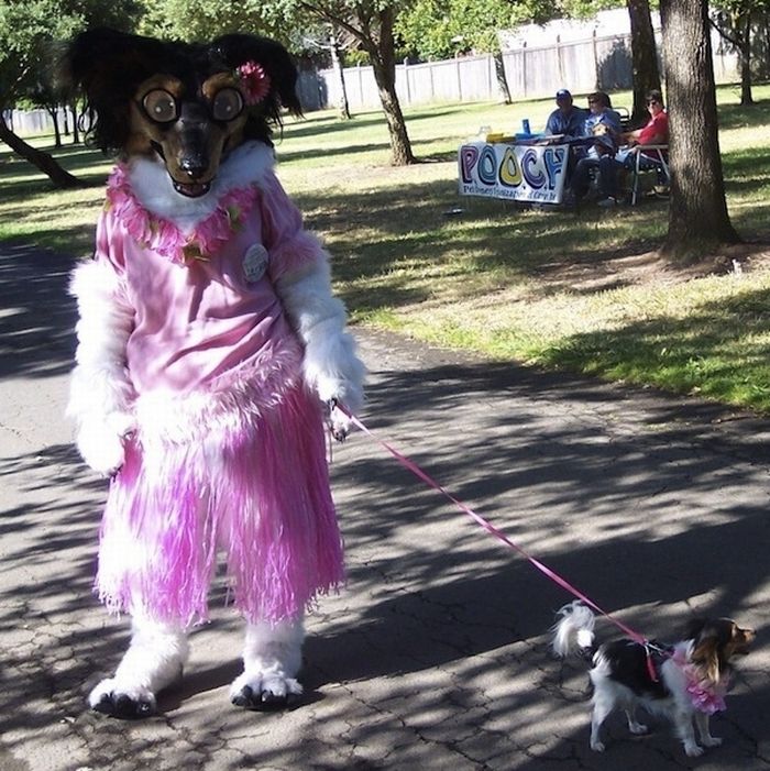 The Worst Fursuit Ever (4 pics)