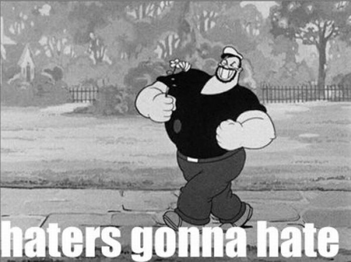 Haters Gonna Hate (26 pics + 1 gif)