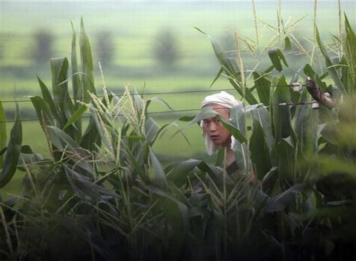The Life in North Korea (120 pics)