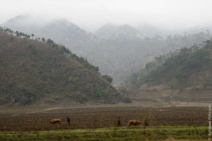 The Life in North Korea (120 pics)