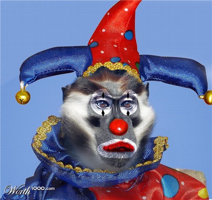 Clown Animals (20 pics)