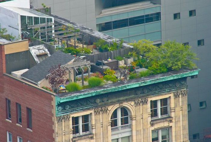 Rooftops of Rich People (20 pics)