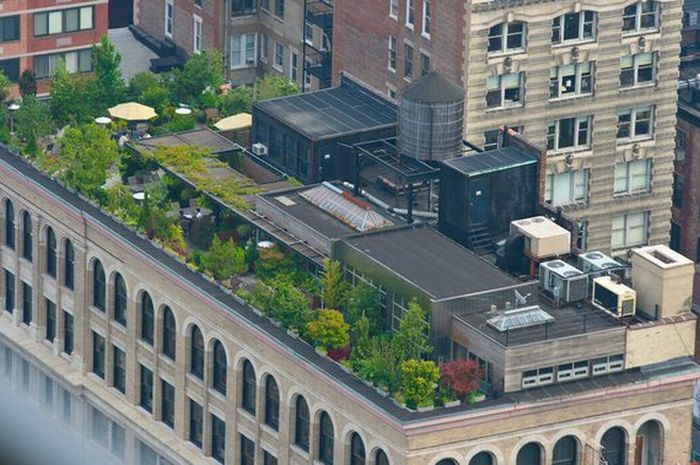 Rooftops of Rich People (20 pics)