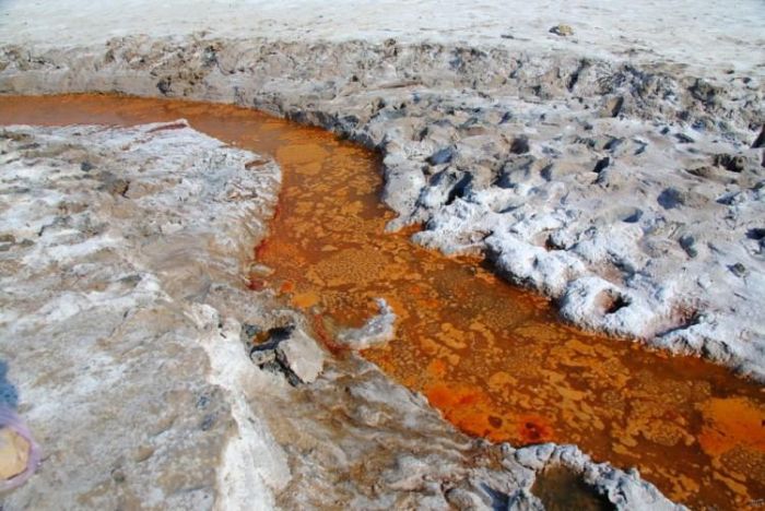 The Saltiest Lake of Russia (20 pics)
