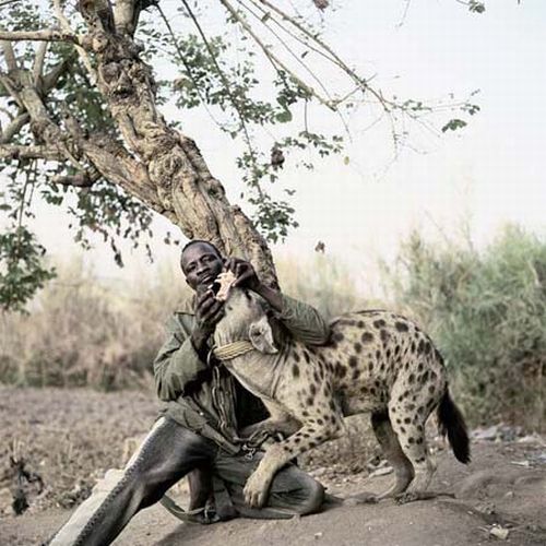 African Pets (33 pics)