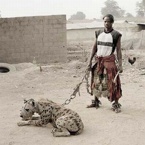 African Pets (33 pics)